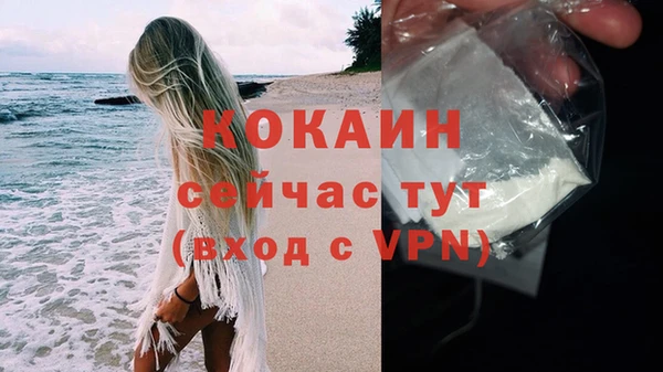 хмурый Мегион