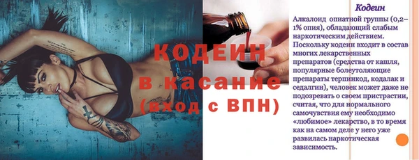 хмурый Мегион