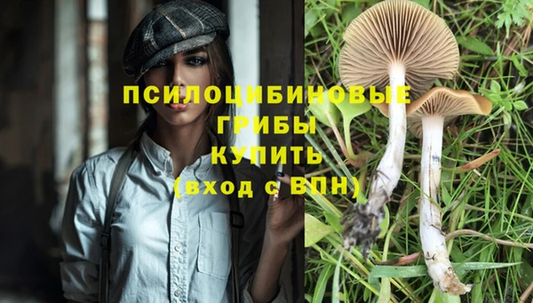 кокаин премиум Медвежьегорск