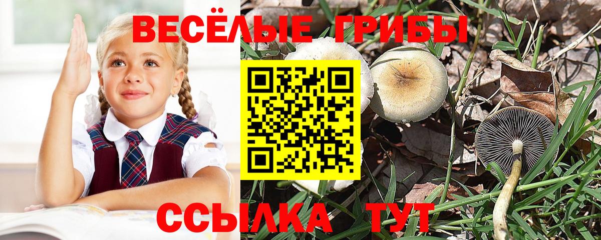 NBOMe  Вход с VPN  А ПВП  Мефедрон  Гашик  Мефедрон  Каннабис  КОКАИН  Людиново  MDMA 